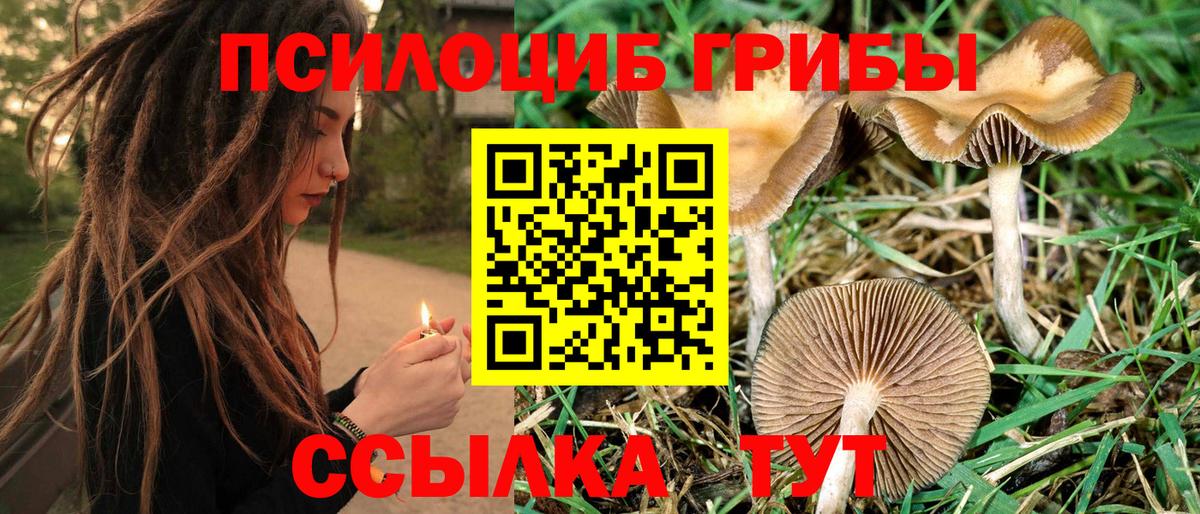 Галлюциногенные грибы GOLDEN TEACHER  Вход с VPN  Саров 
