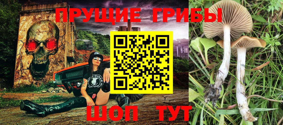 Галлюциногенные грибы MAGIC MUSHROOMS Саров